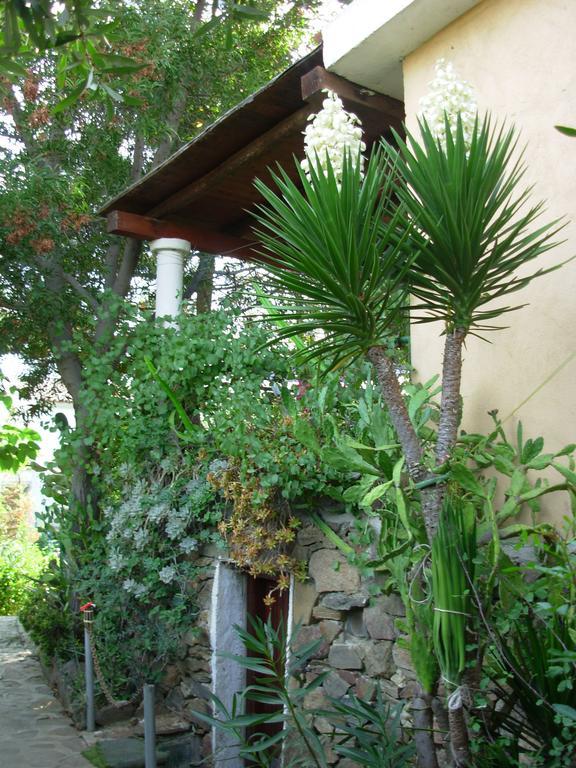 Residence L'Ulivo บูโดนี ภายนอก รูปภาพ